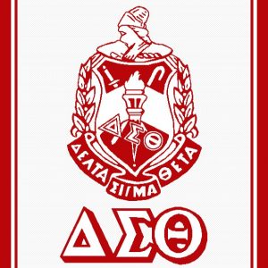 Delta Sigma Theta Shield Afghan