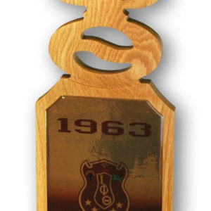 IOTA PHI THETA DOMED WALL HANGING PADDLE